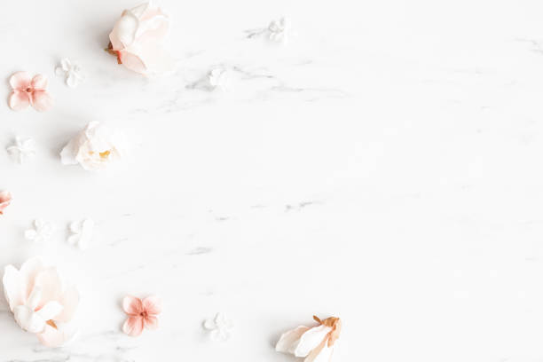 istock Flowers composition. White and pink flowers on marble background. Flat lay, top view 1296121512