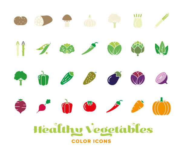 Healthy vegetables color icon collection Set of twentyeight healthy vegetables color icons scallion stock illustrations