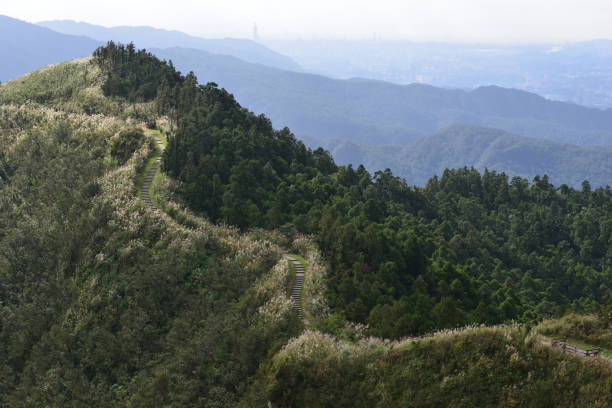 istock Travel in Taiwan 1296122939