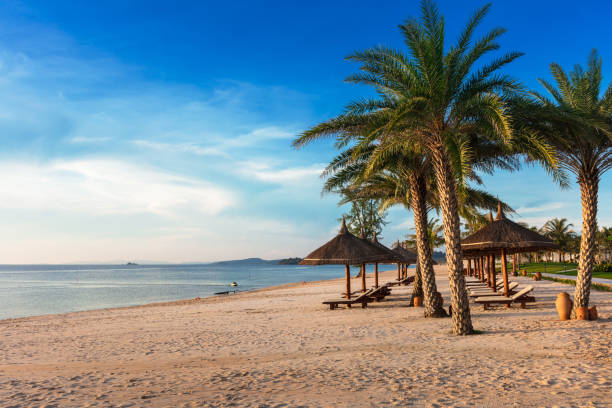 istock sun loungers and parasols on the sandy beach 1296128878