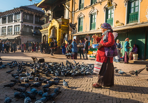 Sherpa woman wearing a traditional striped pangden apron feeding the pigeons outside a golden gompa at the Boudhanath stupa temple complex in the heart of Kathmandu, Nepal's vibrant capital city.