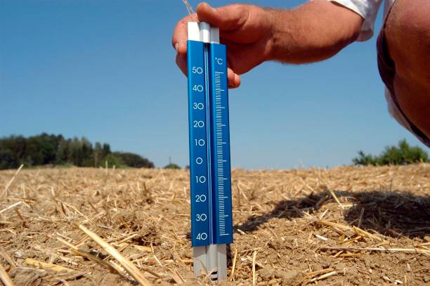 istock thermometer in the soil in summer 1296130359