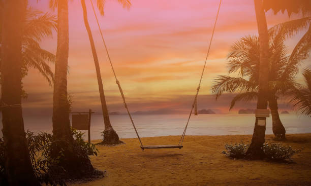 istock Empty swing on the beach with palm trees-Summer  travel Concept 1296134853