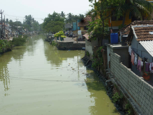 istock the backwaters in Kerala, India 1296135560