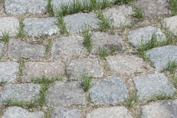 istock cobblestones as pavement for the street 1296136953