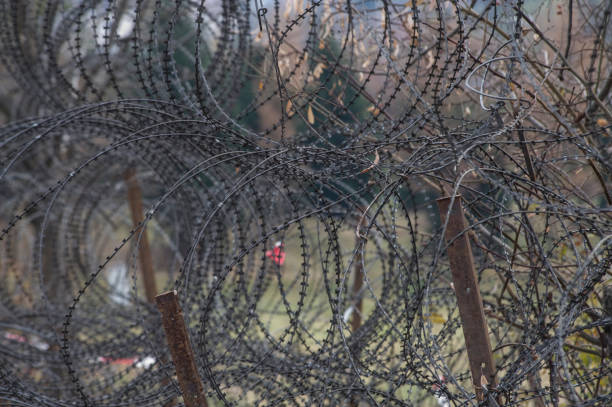istock barbed wire fence at the border 1296137437