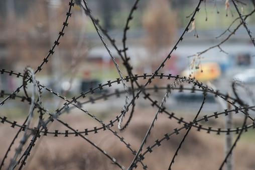The dangerous fence - Razor wire at the boarder