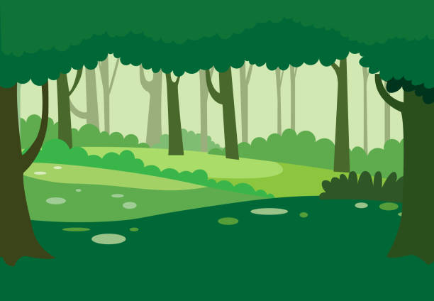 ilustraciones, imágenes clip art, dibujos animados e iconos de stock de vector de fondo de bosque natural verde. paisaje de la naturaleza con árboles. escena de la naturaleza de la selva. - tree silhouette meadow horizon over land