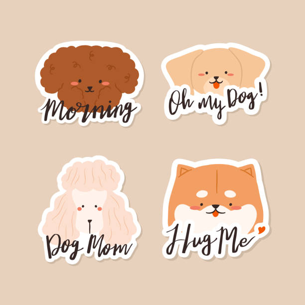 ilustrações de stock, clip art, desenhos animados e ícones de dogs breeds golden retriever, shiba inu, toy puppy and pink poodle with haircut styles dog patches and stickers with morning, oh my dog, dog mom and hug me love hand lettering quote word text - standard poodle