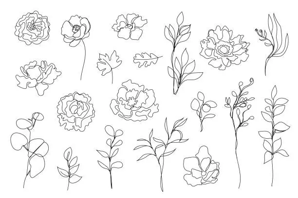 Vector illustration of Vector set of hand drawn, single continuous line flowers, leaves. Art floral elements. Uselogos, cosmetics