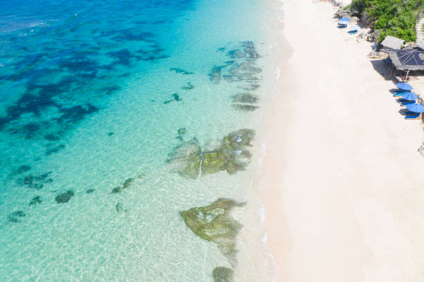 istock Beach umbrellas and blue ocean. Beach scene from above 1296141538