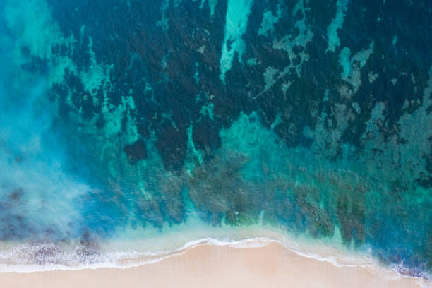 istock Beach scene from above - blue ocean waves hitting tropical sandy beach. 1296141563