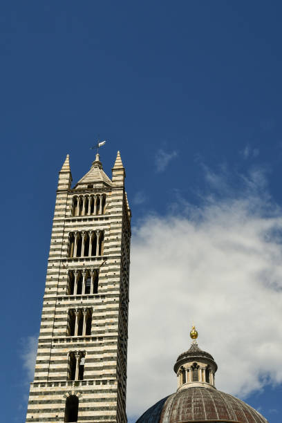 der glockenturm der kathedrale von siena wurde 1313 im romanischen stil erbaut und ist 77 meter hoch; die kuppel wurde 1263 fertiggestellt und ist mit bleiblechen bedeckt, siena, toskana, italien - italy bell tower built structure building exterior stock-fotos und bilder