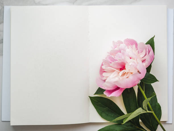 flores brilhantes e um lugar para a inscrição - birthday card letter invitation note pad - fotografias e filmes do acervo