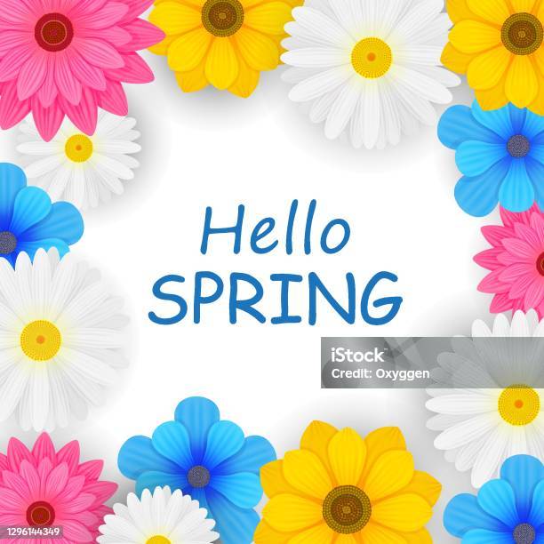 Hallmark Background Spring Colorful Springtime Background With Beautiful Flowers Hello Spring Text ...