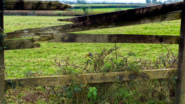 istock Damaged fence on farmland 1296144511