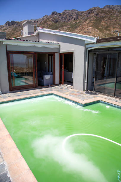 istock A green pool with chemicals running through the pump. 1296144533