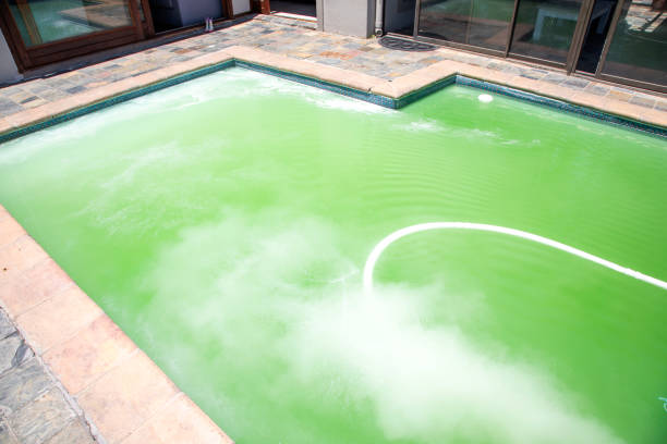 ein grüner pool mit chemikalien, die durch die pumpe laufen. - algae slimy green water stock-fotos und bilder