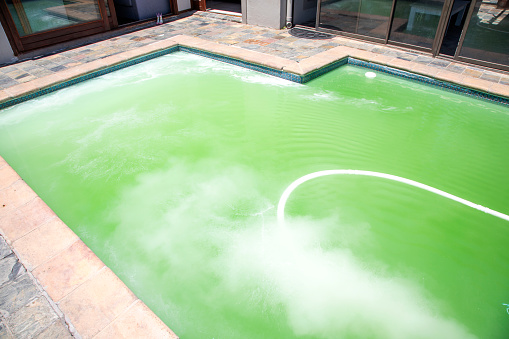 A green pool with chemicals running through the pump.