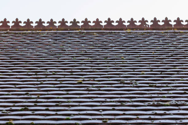 Old Terracotta tiled roof covered in moss