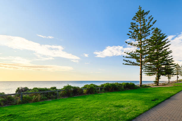 istock Christies Beach shoreline at sunset 1296147579