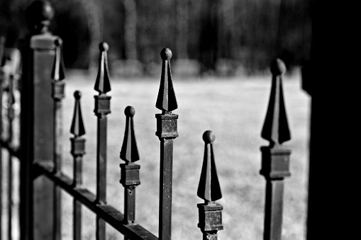 Ornate iron fence