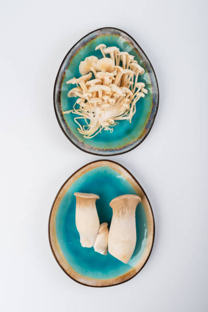 eringi mushrooms and enoki plate - hoby imagens e fotografias de stock