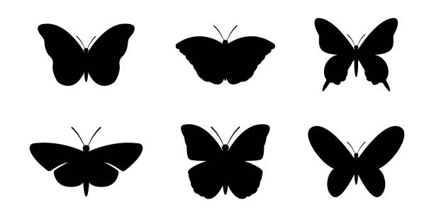 illustrazioni stock, clip art, cartoni animati e icone di tendenza di set di sagome di farfalle, illustrazione vettoriale - farfalla