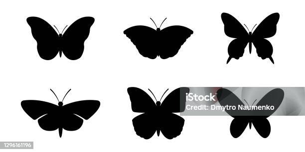 Set Of Silhouettes Of Butterflies Vector Illustration Stock Illustration - Download Image Now