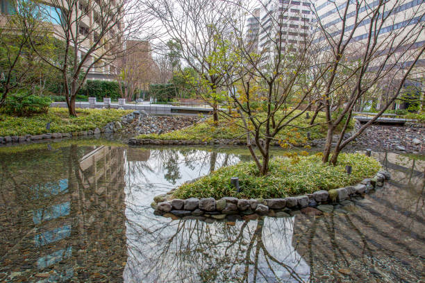 istock Osakain downtown .  Small island in pond . Spring  coming! 1296162578