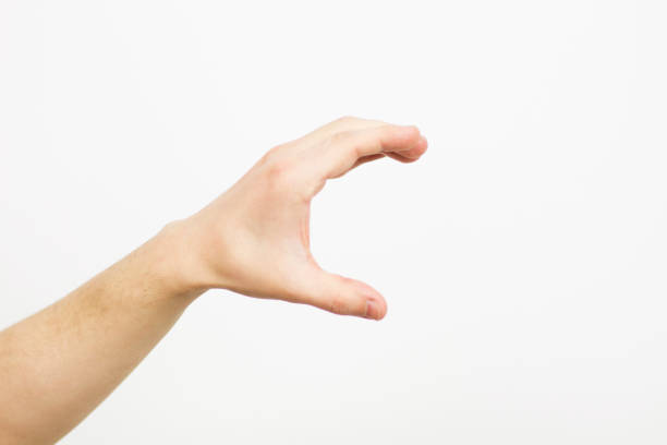 istock Hand showing size gesture isolated on white - copy space, blank, male finger palm 1296164623