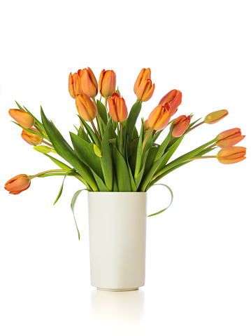 Bouquet of tangerine colored tulips in white vase, isolated on white background,