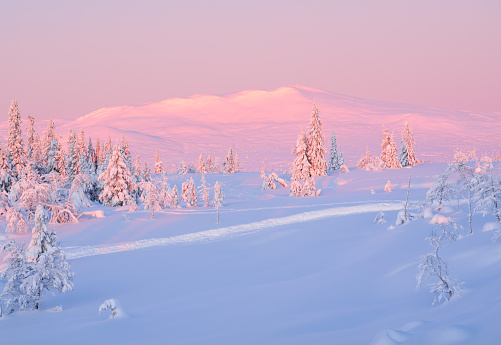 Mountain area called Synnfjell in pink morning light after heavy snowfall.