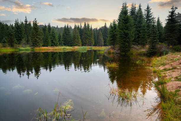 istock Small mountain lake on Cerna Smeda, Czech republic. 1296166045