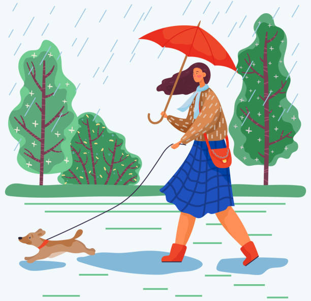 frau spaziergang mit hund im park, regnerisches herbstwetter - scarf blowing women autumn stock-grafiken, -clipart, -cartoons und -symbole