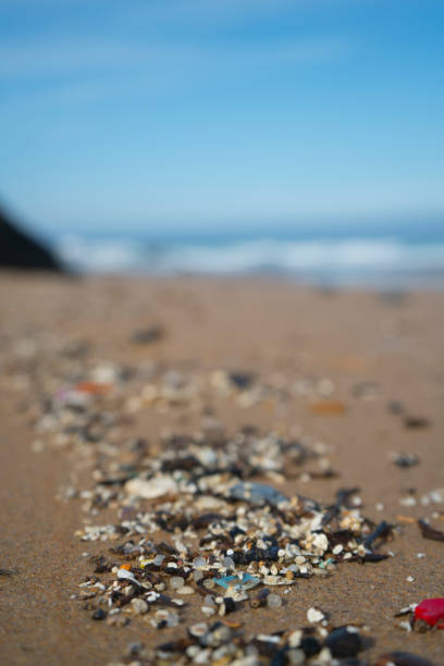 istock Plastic waste and micro plastic washed on the shore of the Atlantic ocean 1296171967