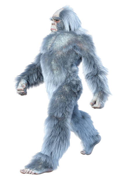istock 3D illustration fantasy creature yeti on white 1296173333