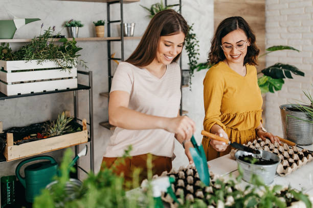 istock Young women planting spices indoors 1296173388