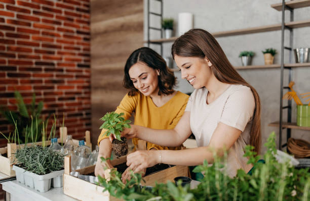 istock Young women planting spices indoors 1296173396