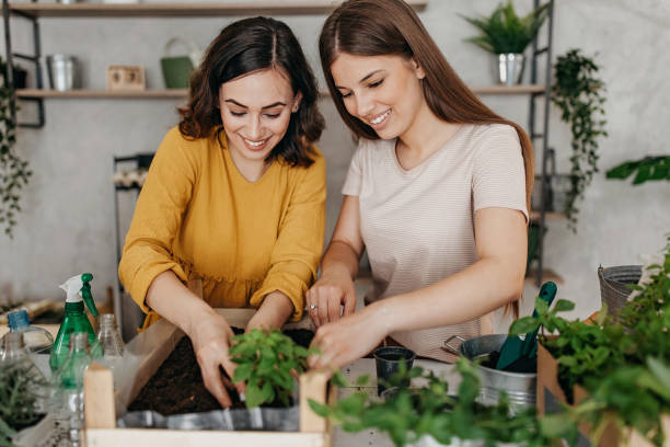Young women planting spices indoors