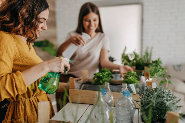 Young women planting spices indoors