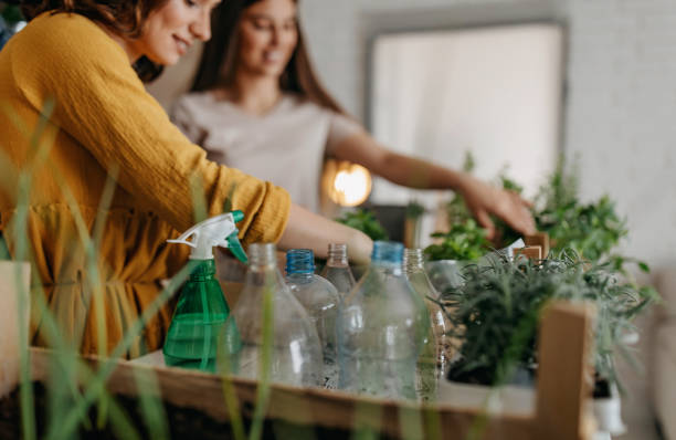 istock Young women planting spices indoors 1296173656