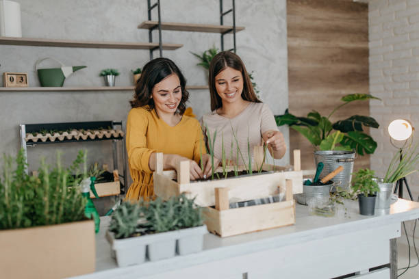 istock Young women planting spices indoors 1296173674