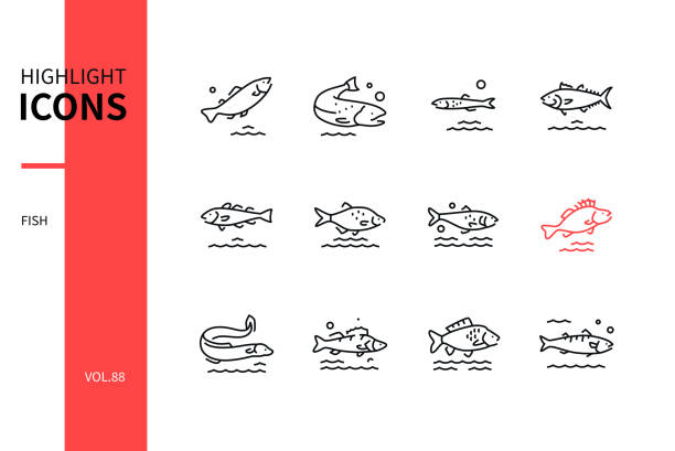 illustrations, cliparts, dessins animés et icônes de fish - ensemble moderne d’icônes de style de conception de ligne - poisson