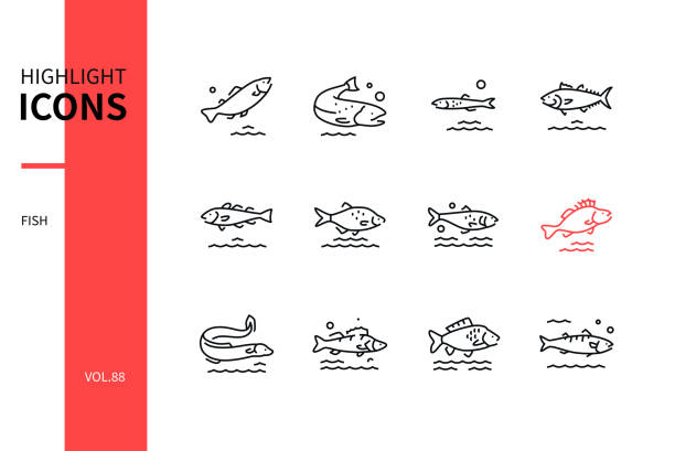 Fish - modern line design style icons set Fish - modern line design style icons set on white background. A collection of animals. Trout, salmon, anchovy, tuna, cod, bream, herring, eel, pike perch, carp, mackerel species images carp stock illustrations