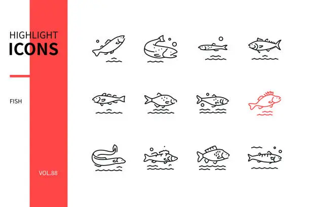 Vector illustration of Fish - modern line design style icons set