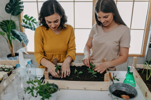 istock Young women planting spices indoors 1296173710