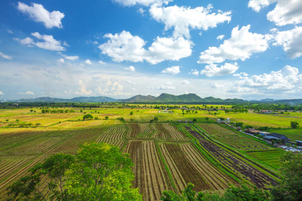 tiro aéreo do terraço de arroz. imagem de belo campo de arroz de terraço em chiang rai tailândia - niiagata - fotografias e filmes do acervo