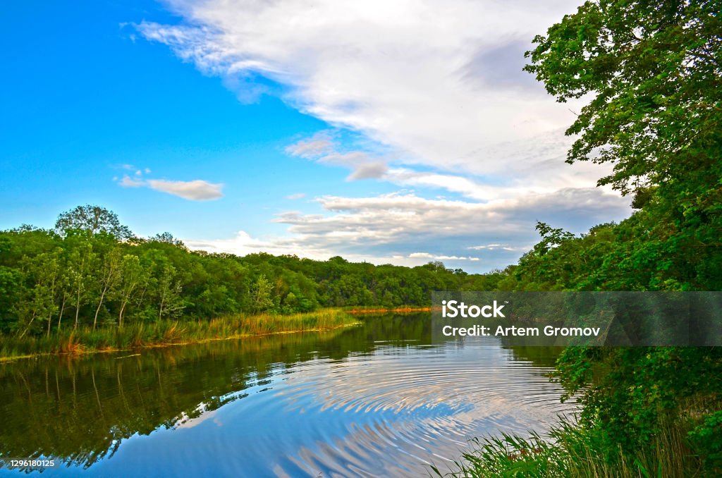 Spring Forest Ext Forest Spring Landscape Stock Photo - Download Image Now - Aerial View ...