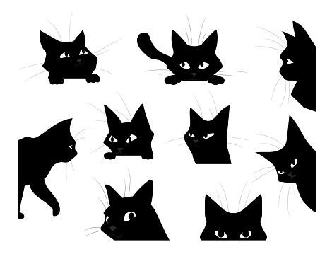 Funny looking cat. Cartoon black pet silhouette, cute kitten playing and spying or hunting. Isolated hand drawn kitty peeking out corners. Decorative template with domestic animal, vector flat set